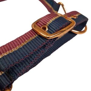 cabezada de nylon con refuerzo en neopreno hebilla dorada (2)