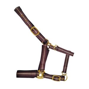 cabezada de nylon con refuerzo en neopreno hebilla dorada