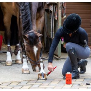 cd aceite cascos vannerprest hoof oil 500ml (2)